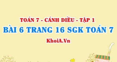 Bài 6 trang 16 SGK Toán 7 tập 1 Cánh Diều